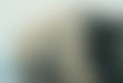 Фотографія квесту Убежище 101 від компанії Аномалия (Фото 1)