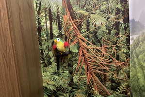 Фотографія квесту Джуманджі. Поклик джунглів від компанії Happy Land (Фото 2)