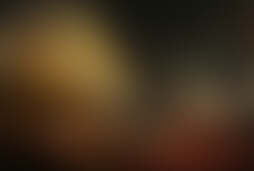 Фотографія квесту Логово Вампира від компанії Клетка (Фото 1)