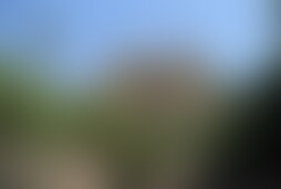 Фотографія квесту Jumanji від компанії Green Doors (Фото 1)