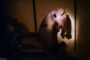 Фотография квеста Ночной кошмар от компании XRoom (Фото 3)