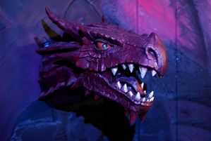 Фотография ролевого квеста Замок дракона от компании Замок дракона (Фото 1)